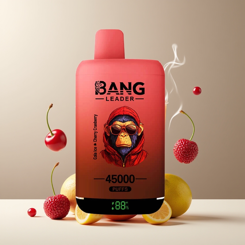 Bang Leader 45000 Puffs Engangs Vape Grossister Sverige med Smart Skärm Type-C USB och Dubbla Smaker 2-i-1 Design