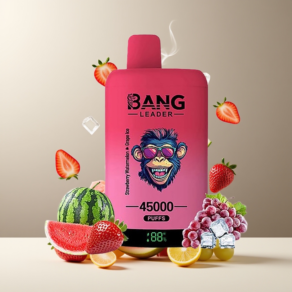 Bang Leader 45000 Puffs Engangs Vape Grossister Sverige – Smart Skärm Typ-C USB 2-i-1 Smakdesign 0-5 Nikotin