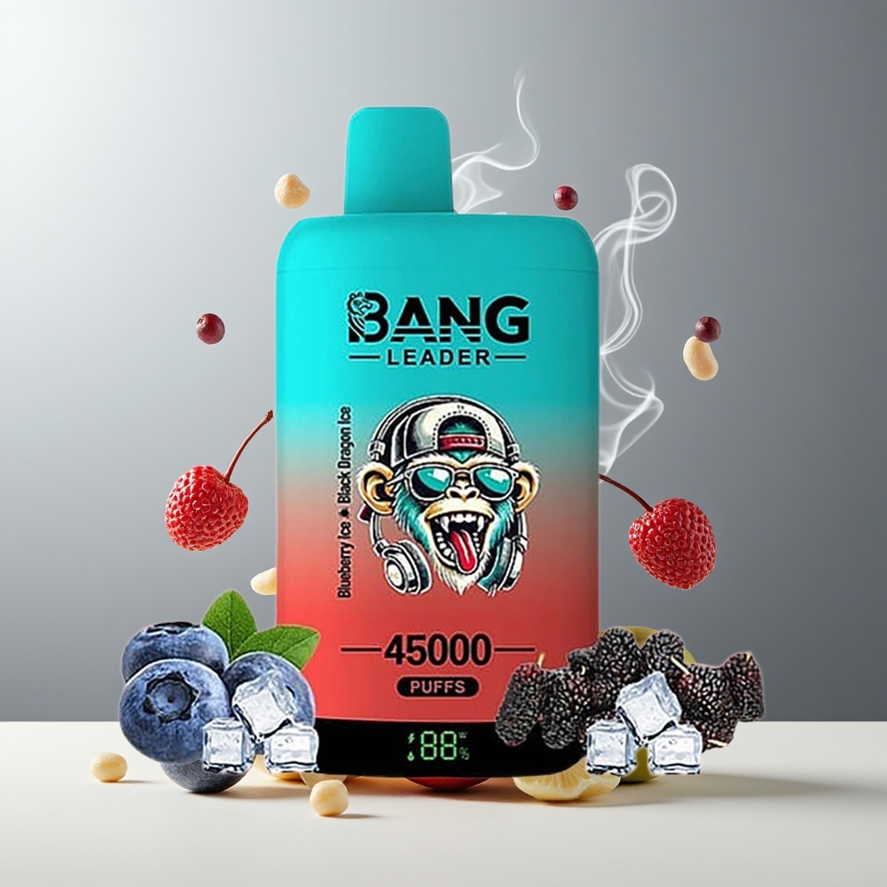 Bang Leader 45000 Puffs Engangs Vape Grossister Sverige – Smart Skärm Typ-C USB Dubbla Smaker 2-i-1 Design