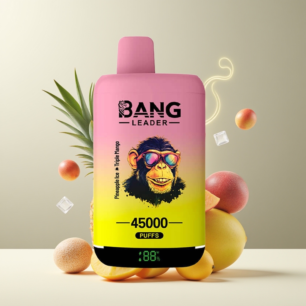 Bang Leader 45000 Puffs Engangs Vape grossister Sverige med Smart Skärm Typ-C USB och Dubbla Smaker 2-i-1 Design