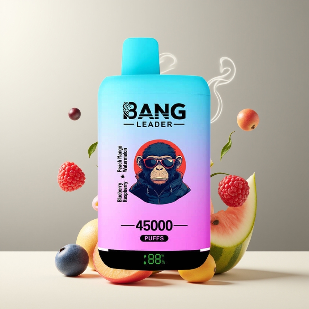 Bang Leader 45000 Puffs Engangs Vape grossister Sverige – Smart Skärm Typ-C USB Dubbelsmak 2-i-1 Design