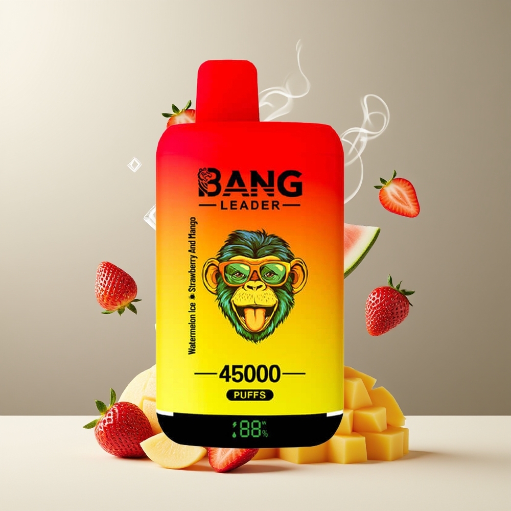 Bang Leader 45000 Puffs Grossister Sverige – Smart Skärm Typ-C USB Dubbelsmak 2-i-1 Design