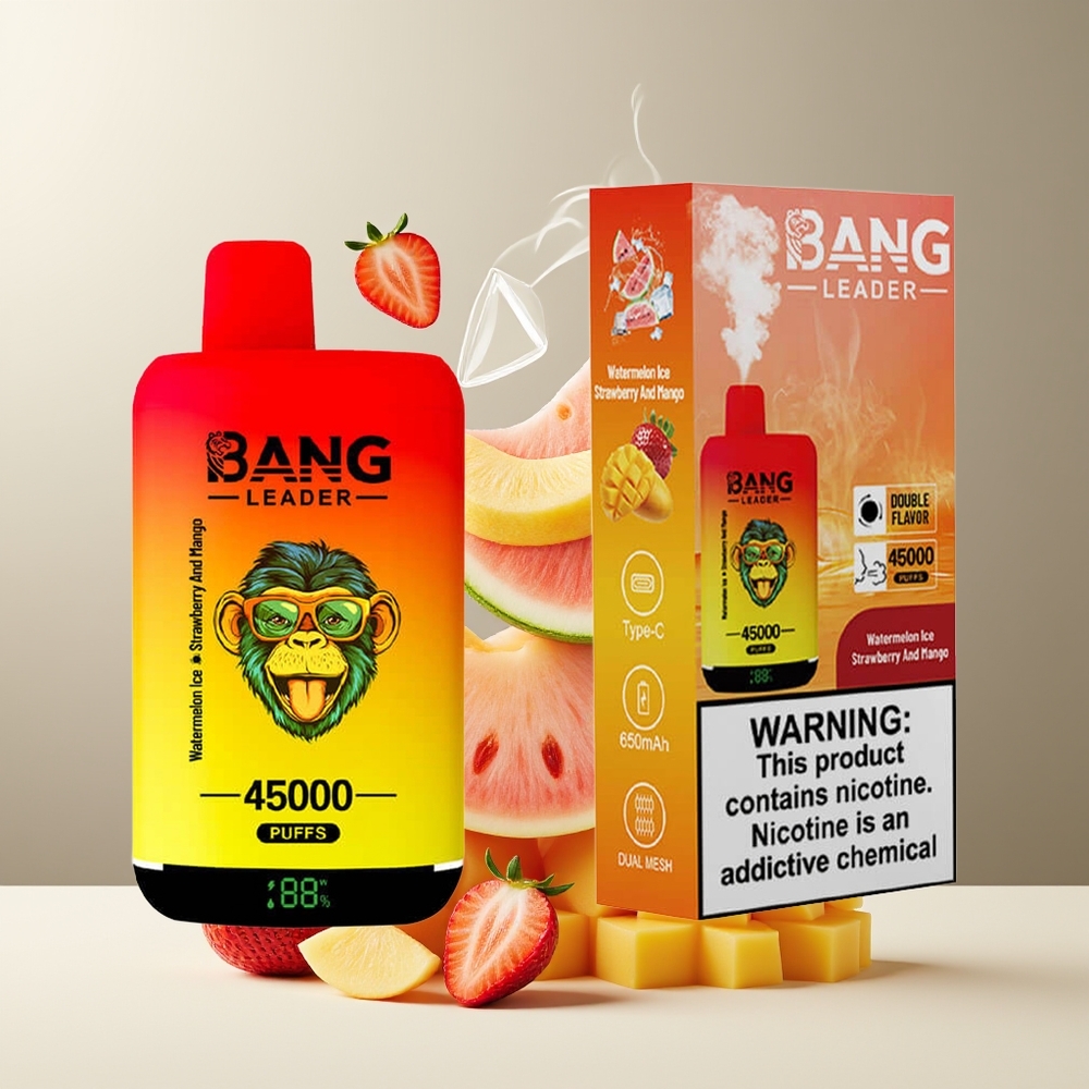 Bang Leader 45000 Puffs Grossister Sverige – Smart Skärm Typ-C USB Dubbelsmak 2-i-1 Design