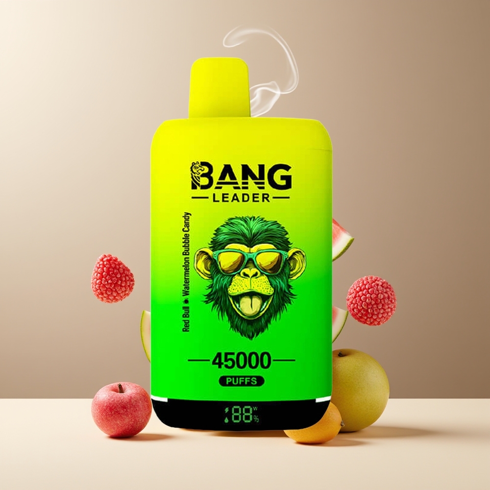Bang Leader 45000 Puffs Grossister Sverige – Smart Skärm Typ-C USB Dubbl Smak 2-i-1 Design