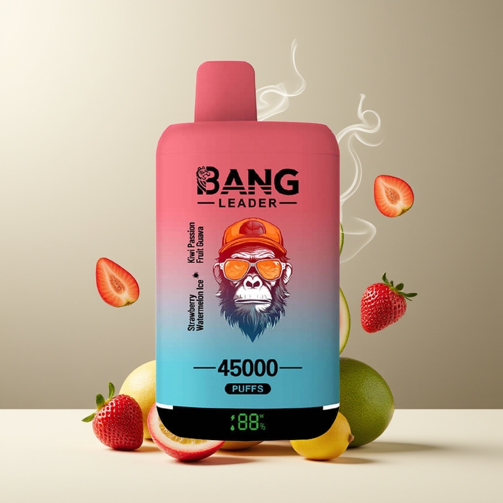 Bang Leader 45000 Puffs Grossister Sverige – Smart Skärm Typ-C USB Dubbla Smaker 2-i-1 0-5 Nikotin