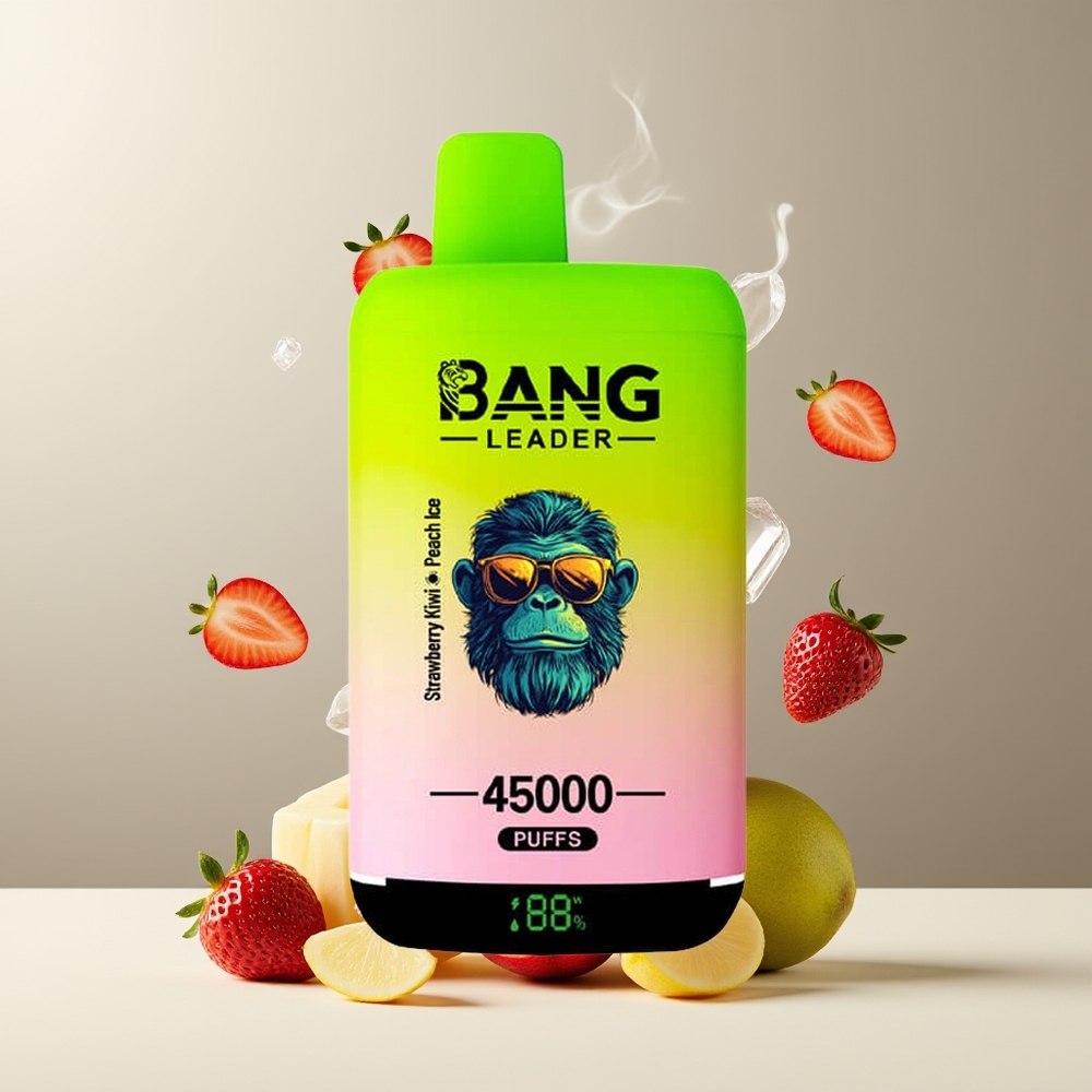 Bang Leader 45000 Puffs Grossister Sverige – Smart Skärm Typ-C USB Dubbla Smaker 2-i-1