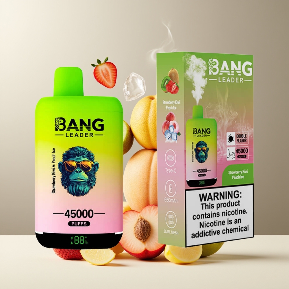 Bang Leader 45000 Puffs Grossister Sverige – Smart Skärm Typ-C USB Dubbla Smaker 2-i-1