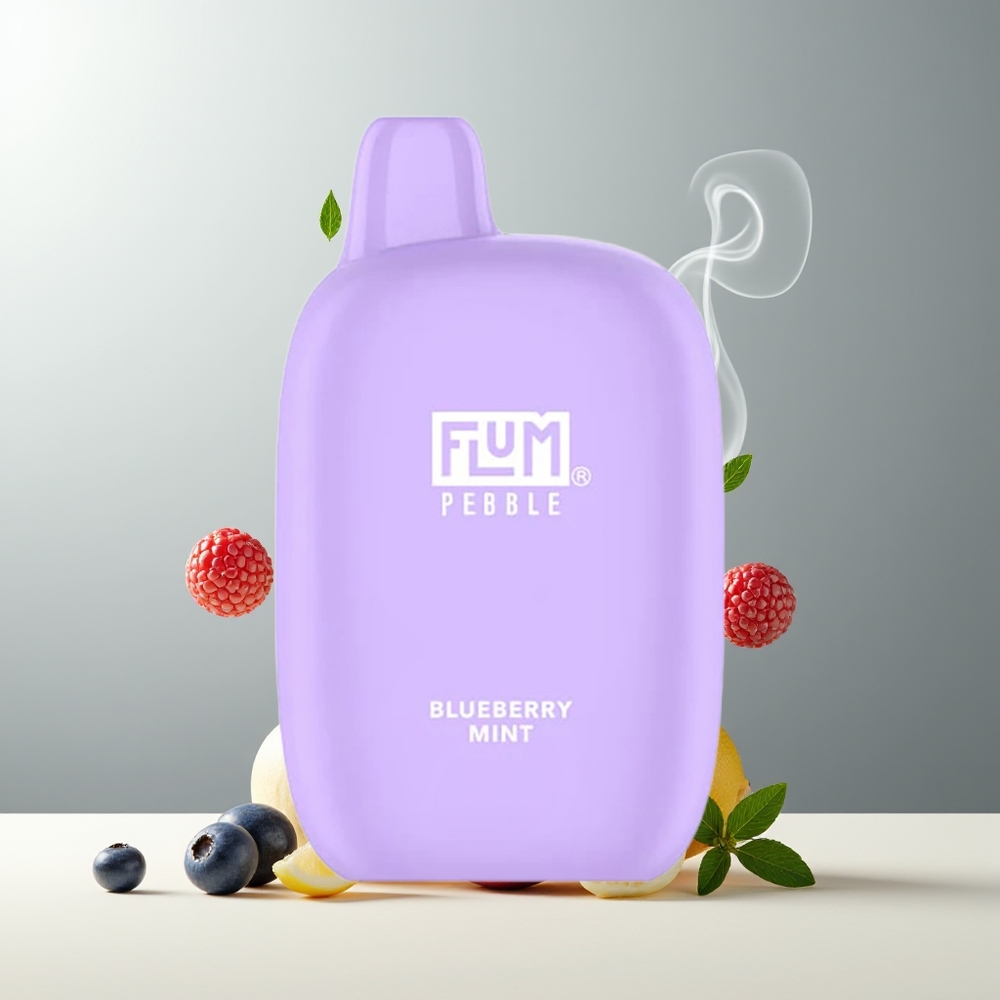 Flum Pebble 6000 10ml 5 Mesh Coil 500mAh Type-C grossister Sverige Blåbær Mynte