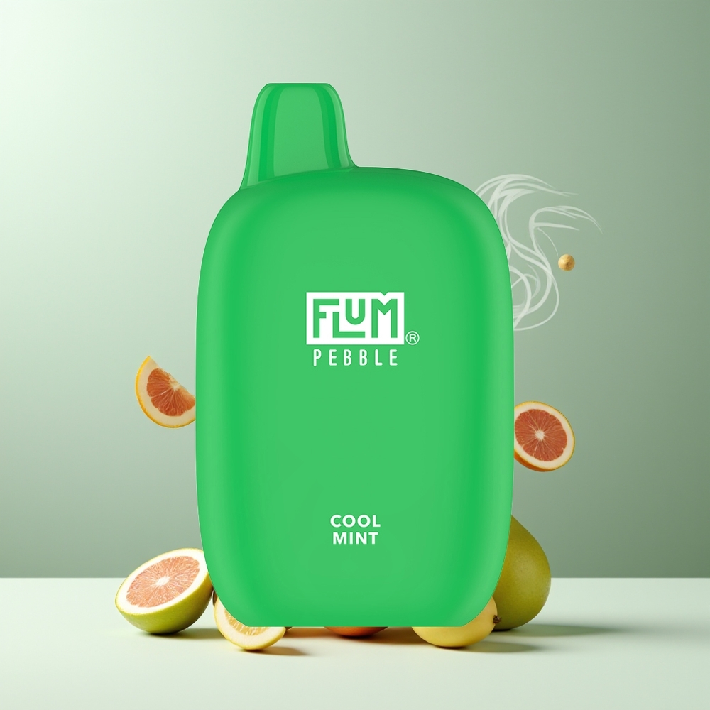 Flum Pebble 6000 10ml 5 Mesh Coil 500mAh Type-C grossister Sverige Cool Mint