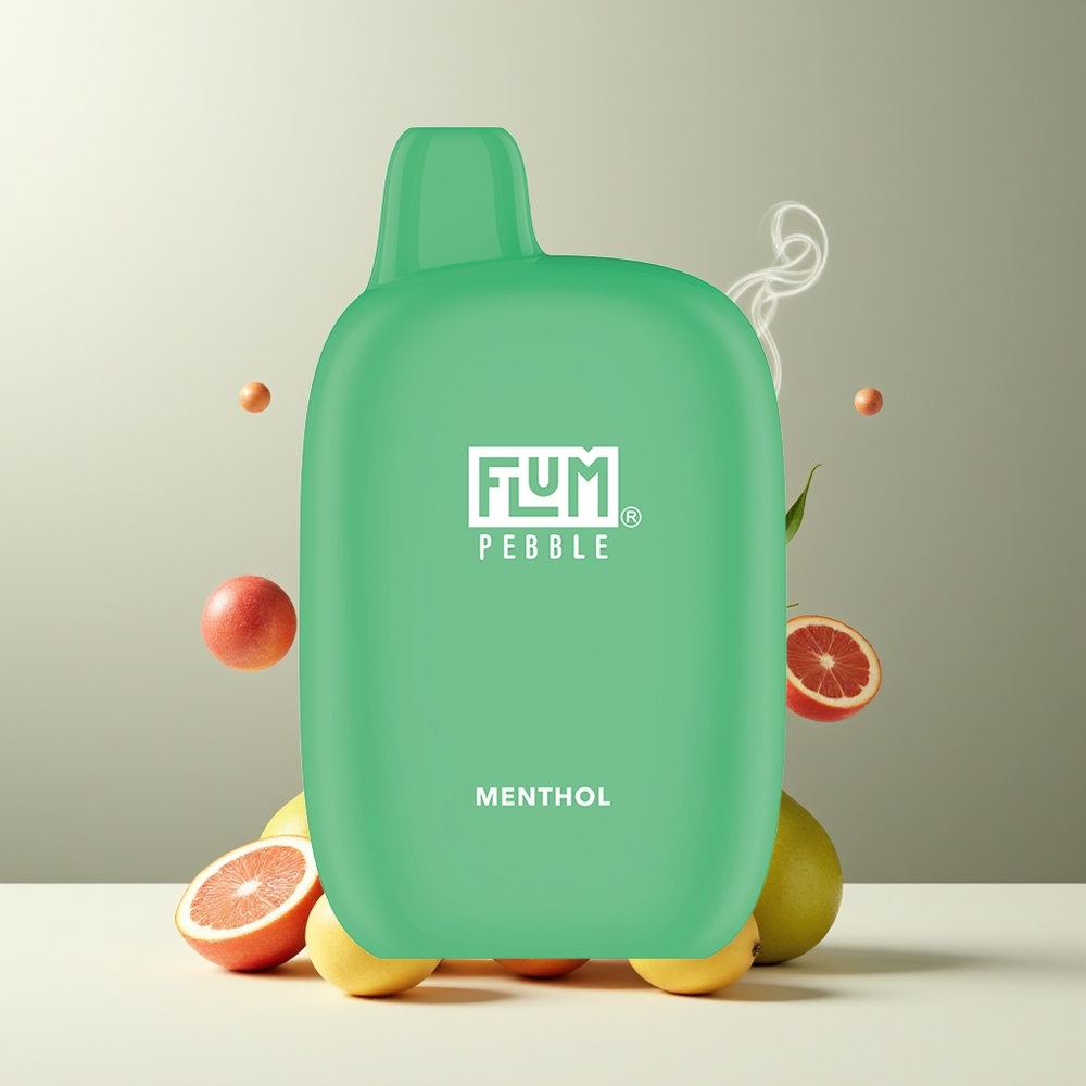 Flum Pebble 6000 10ml 5 Mesh Coil 500mAh Type-C grossister Sverige Menthol