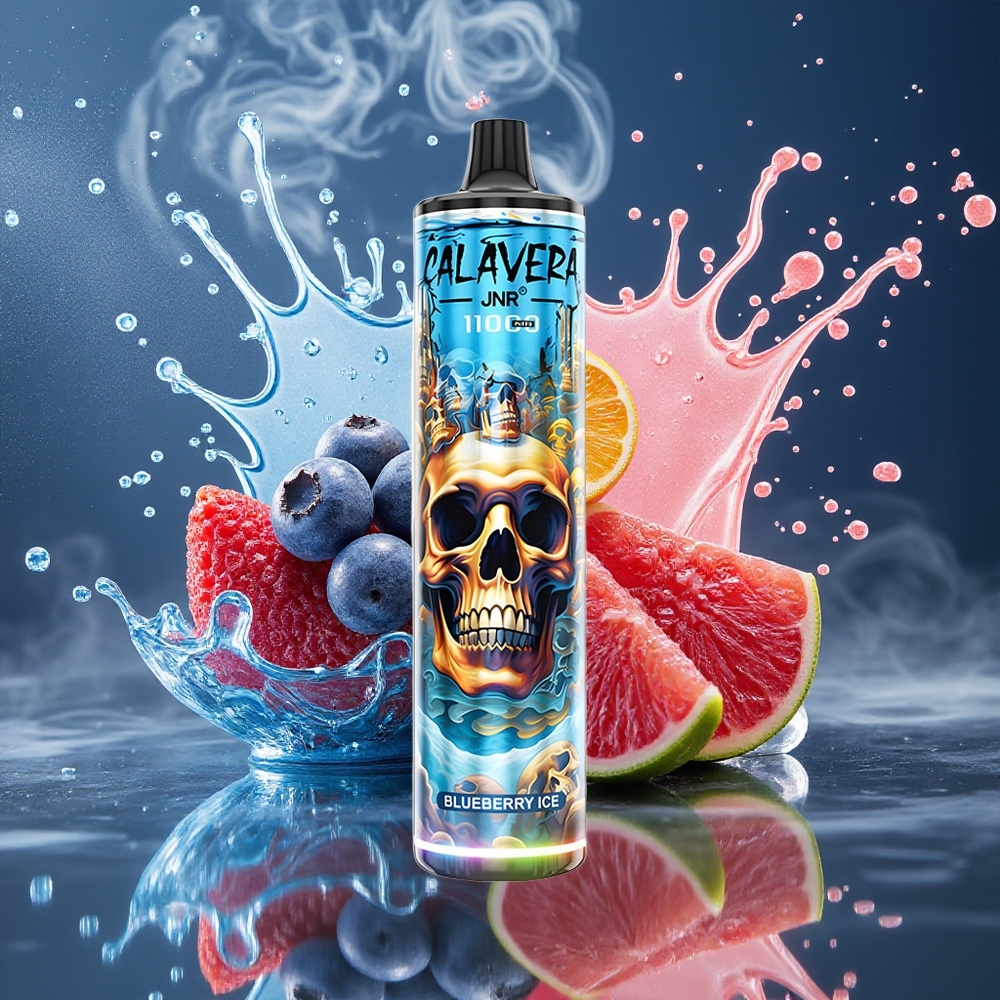 JNR Calavera 11000 Puffs Disposable Vape med Type-C laddning 850 mAh batteri 21ml e-vätska grossister Sverige Blåbärsglass
