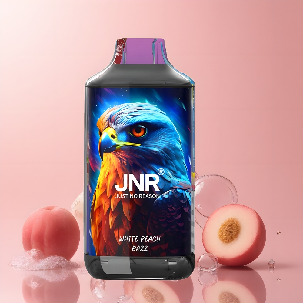 JNR Falcon 16000 Puffs - 850 mAh 22ml Dual Mesh Coil Smart LED Display Type C  Lightning grossister Sverige