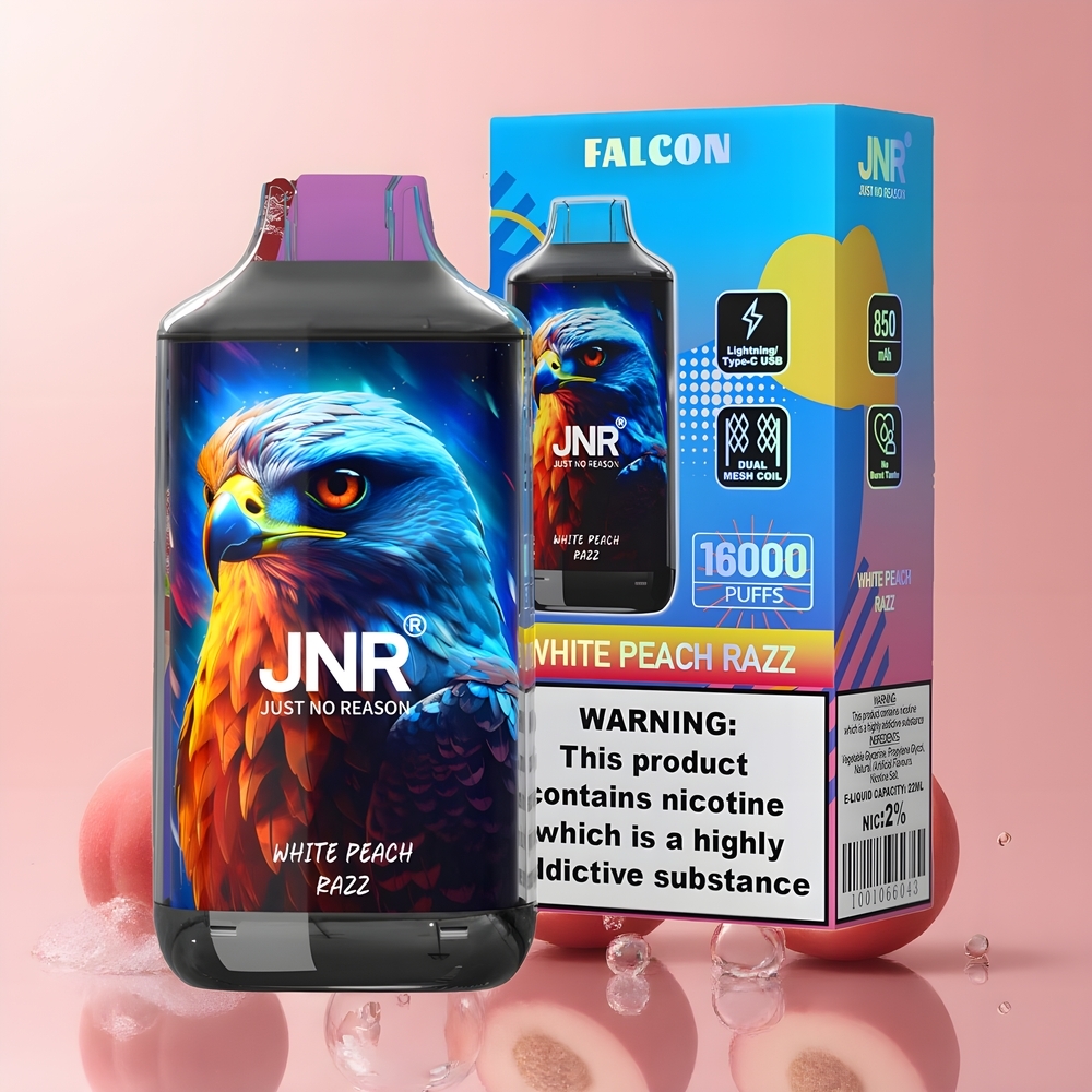 JNR Falcon 16000 Puffs - 850 mAh 22ml Dual Mesh Coil Smart LED Display Type C  Lightning grossister Sverige