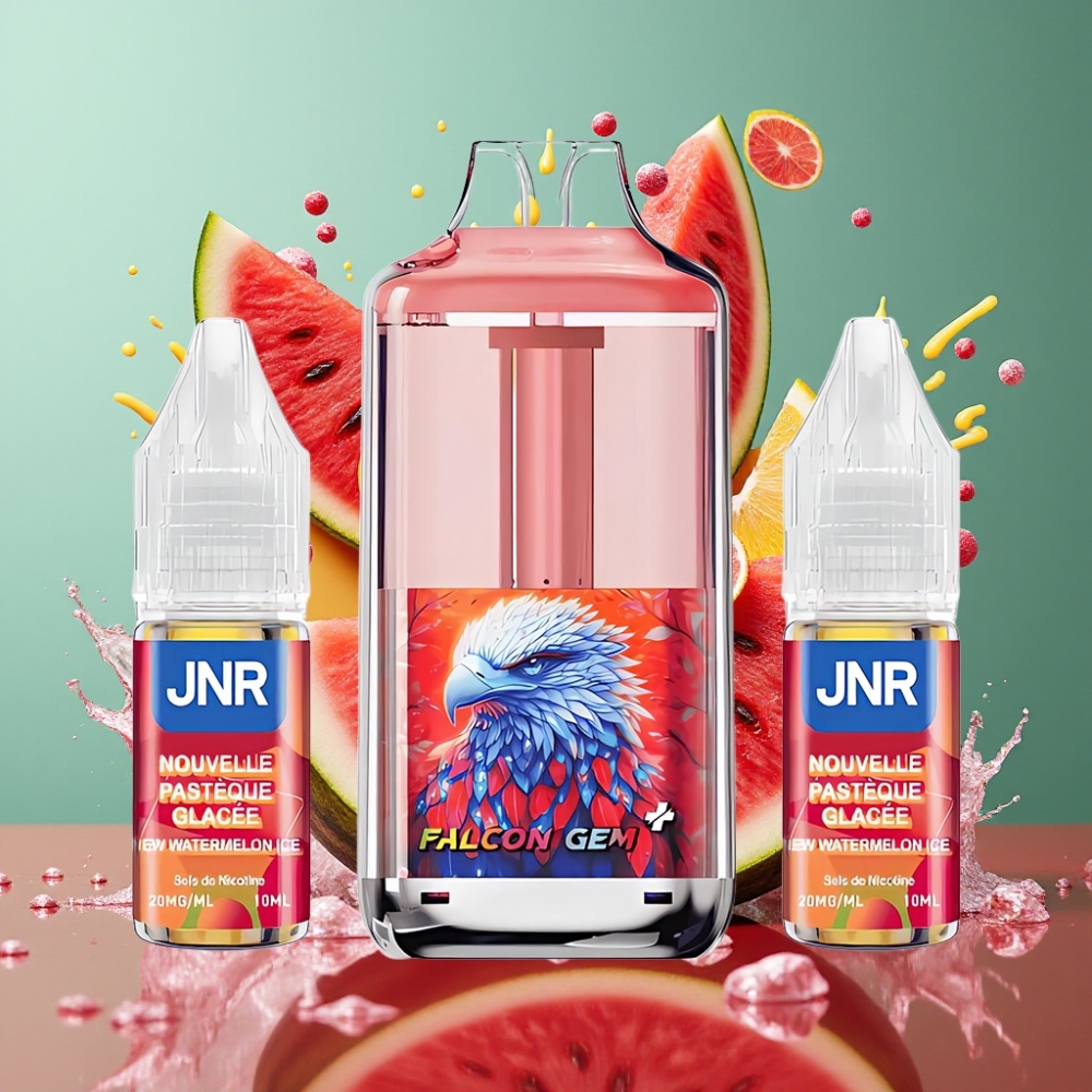 JNR Falcon GEM⁺ 30000 Puffs Refillable Pod Vape med Synlig E-vätsketank 950mAh Battery Typ-C-laddning  2 10ml E-vätska grossister Sverige