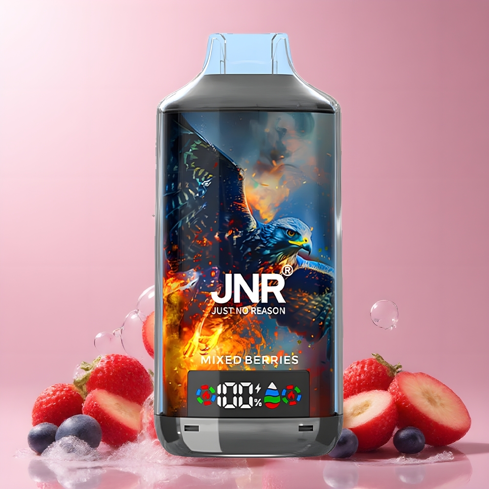 JNR Falcon X 18000 Puffs 24ml 750mAh Dual Mesh Coil Digital Display Type-C Grossister Sverige