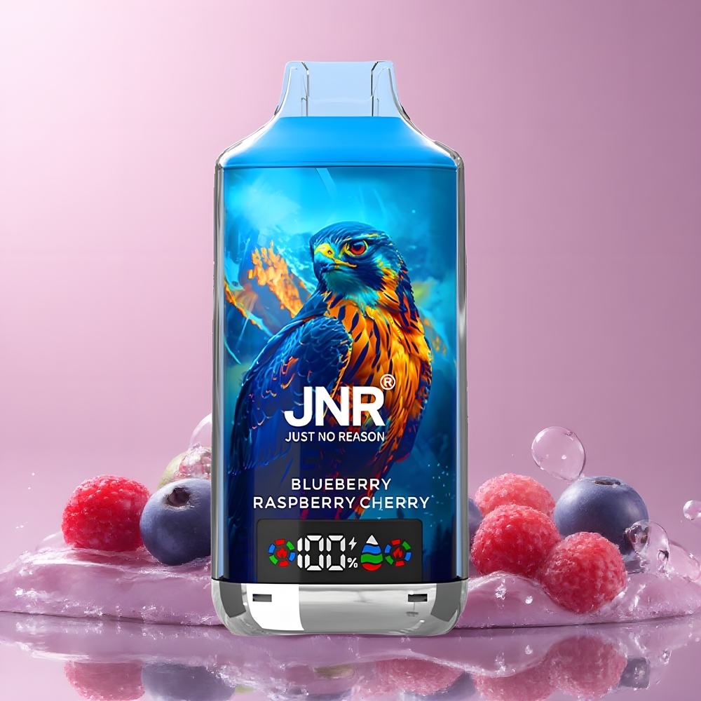 JNR Falcon X 18000 Puffs 24ml 750mAh Dual Mesh Coil Digital Display Type-C grossister Sverige
