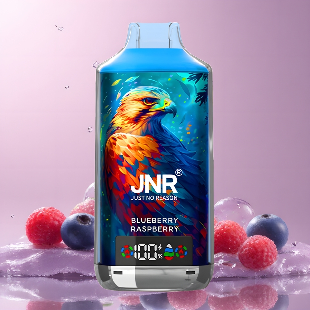 JNR Falcon X 18000 Puffs 24ml 750mAh Dual Mesh Coil Type-C grossister Sverige