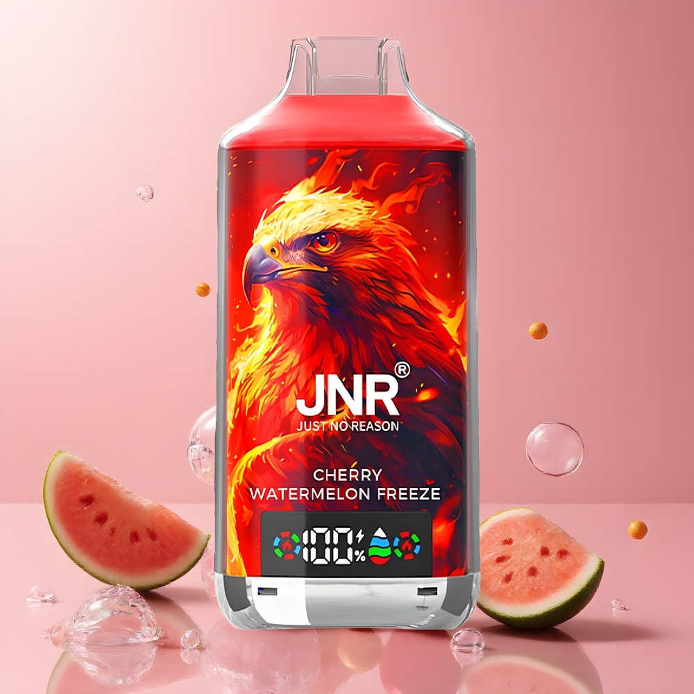 JNR Falcon X 18000 Puffs 24ml 750mAh Dual Mesh Coil Type-C grossister Sverige