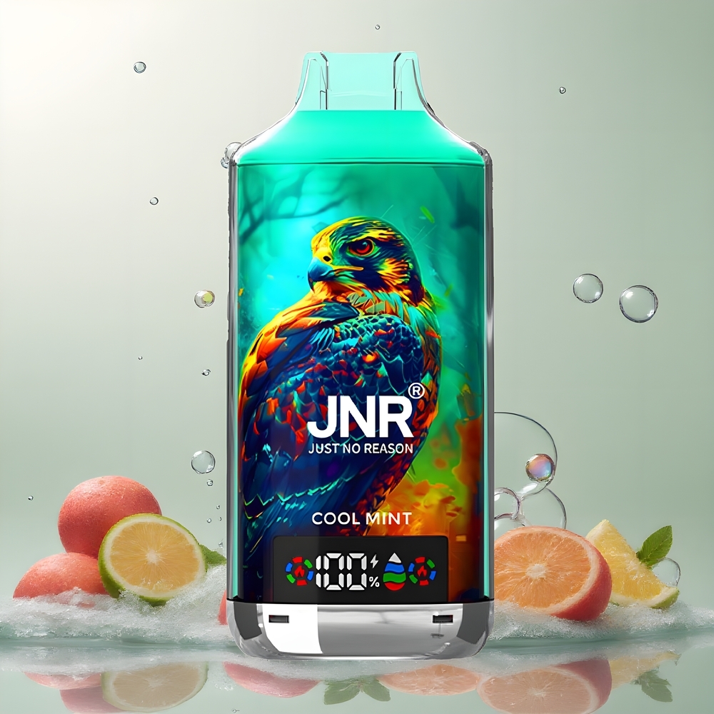 JNR Falcon X 18000 Puffs 24ml Dual Mesh Coil Digital Display Type-C Grossister Sverige