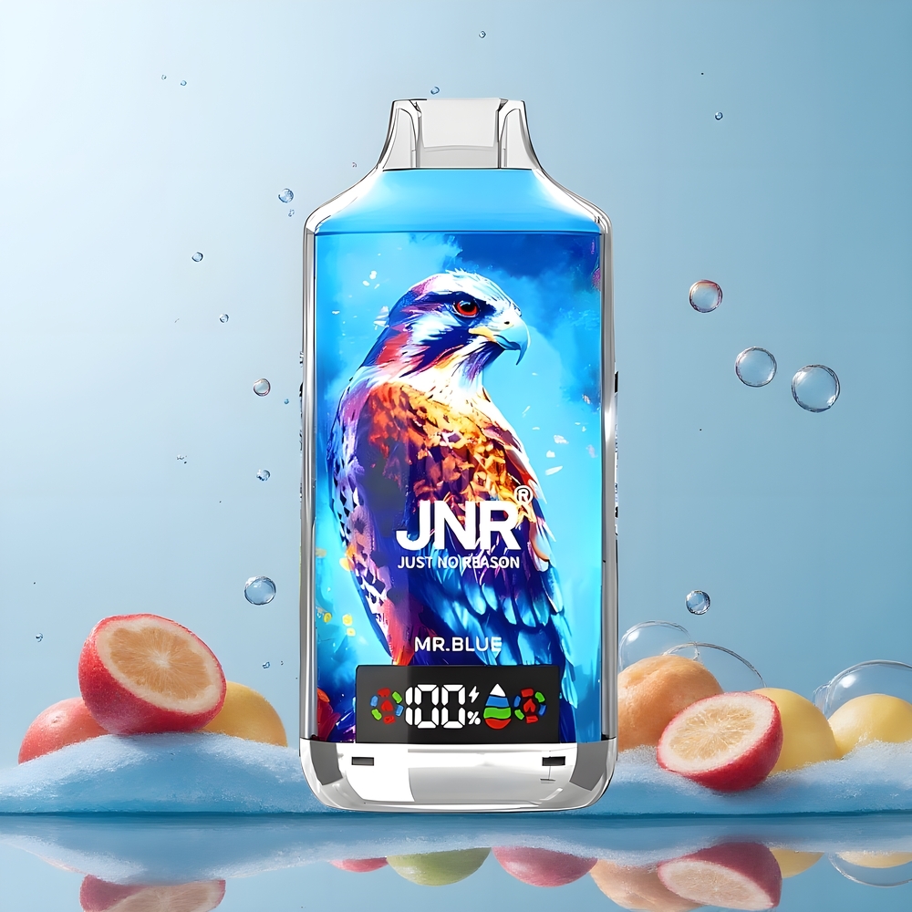JNR Falcon X 18000 Puffs 24ml Dual Mesh Coil Digital Display Type-C grossister Sverige