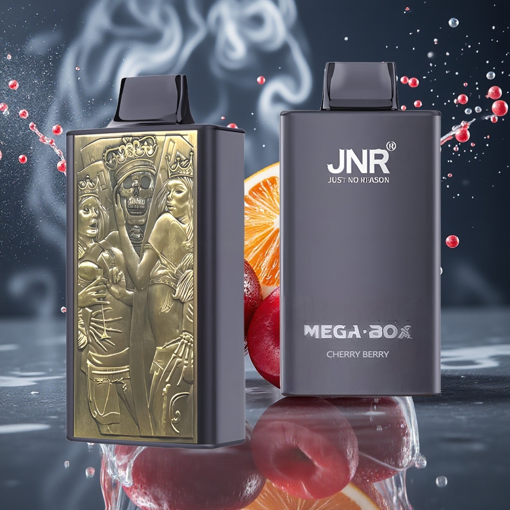 JNR Mega Box 25000 Puffs 30ml 850mAh Dual Mesh Grossister Sverige