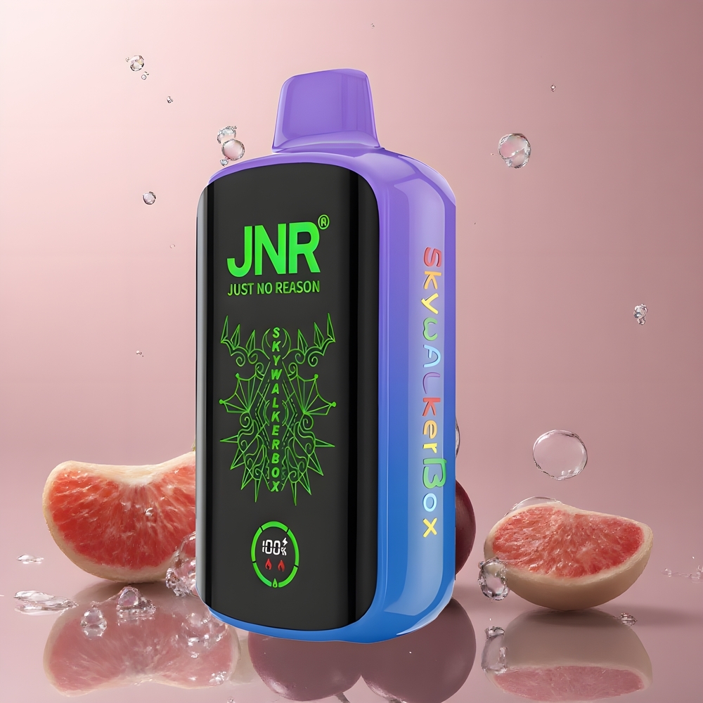JNR Skywalker Box 21000 Puffs 25ml Dual Mesh Coil Type-C Quick Charge grossister Sverige