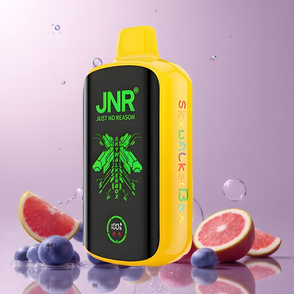 JNR Skywalker Box 21000 Puffs 25ml Dual Mesh Coil Type-C Quick Charge grossister Sverige
