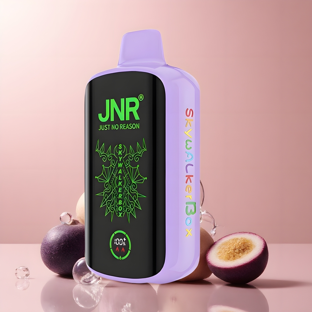JNR Skywalker Box 21000 Puffs 25ml Dual Mesh Coil Type-C Quick Charge grossister Sverige