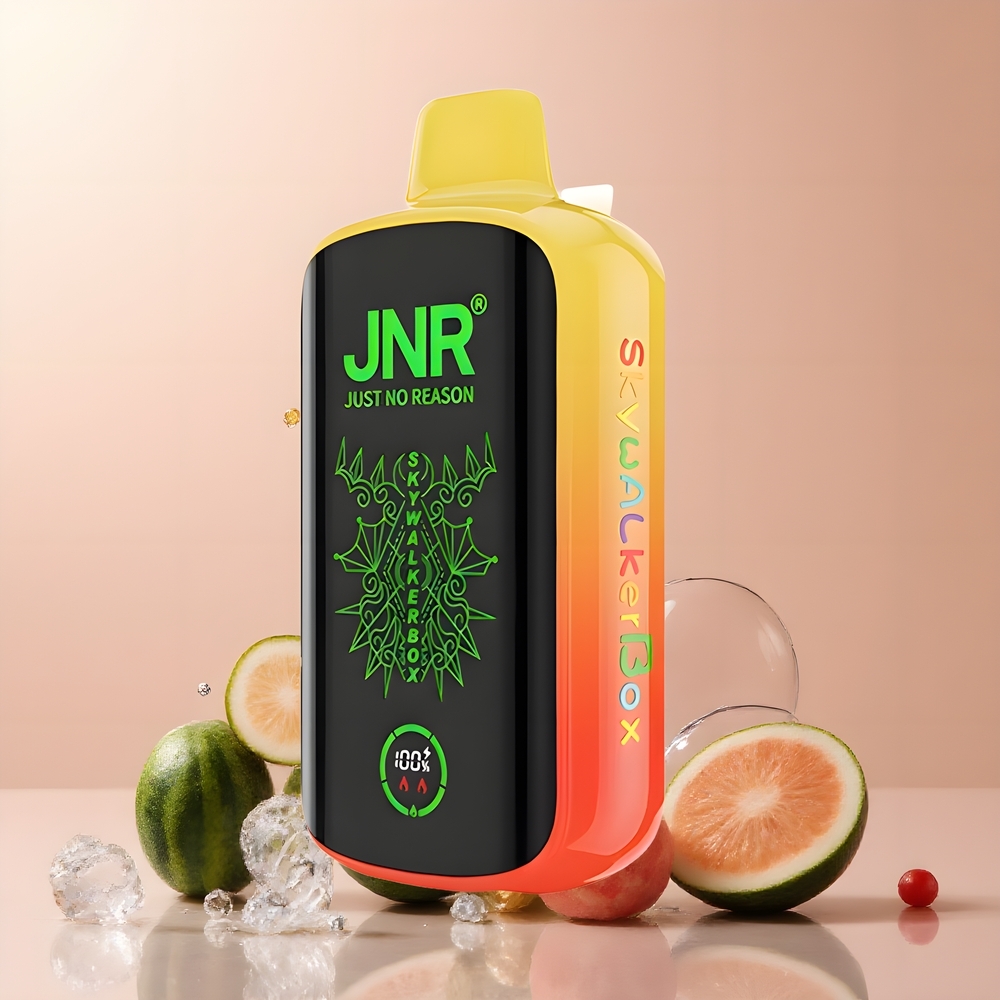 JNR Skywalker Box 21000 Puffs 850mAh 25ml Dual Mesh Coil Type-C Quick Charge Full-Screen Display 0 2 5 Nicotine grossister Sverige