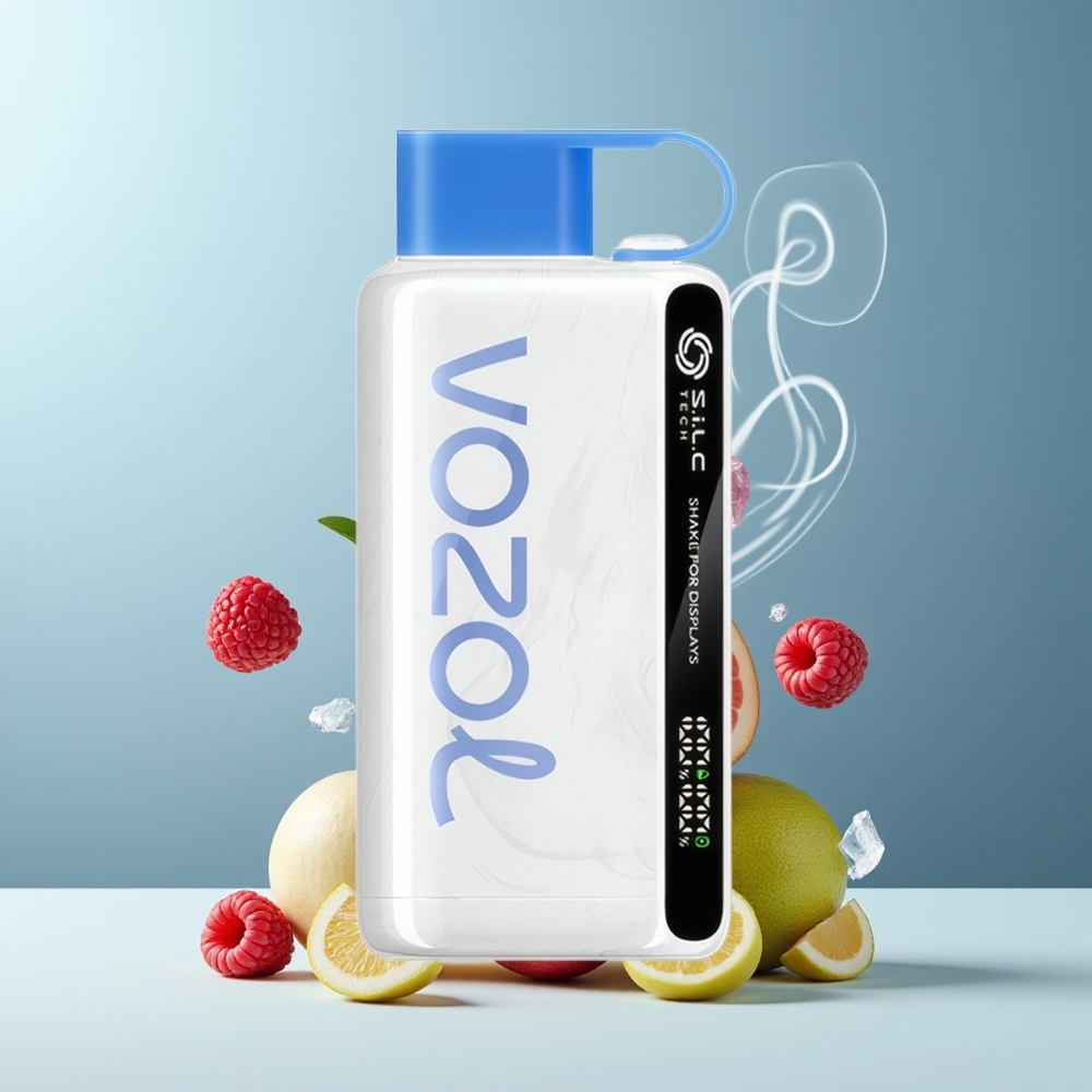 VOZOL STAR 9000/12000 Grossister Sverige Engangs Vape med 650mAh Battery 30 snabbare laddning och UP TO 9000/12000 Puffs