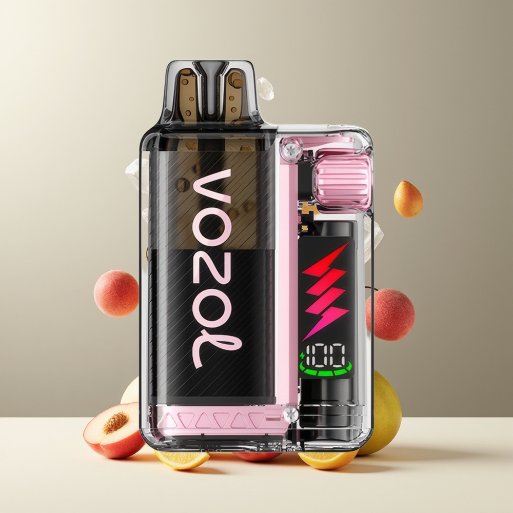 VOZOL VISTA PLUG 6000/10000 Engangs Vape - 26 Läckra Smaker 650mAh Batteri grossister Sverige