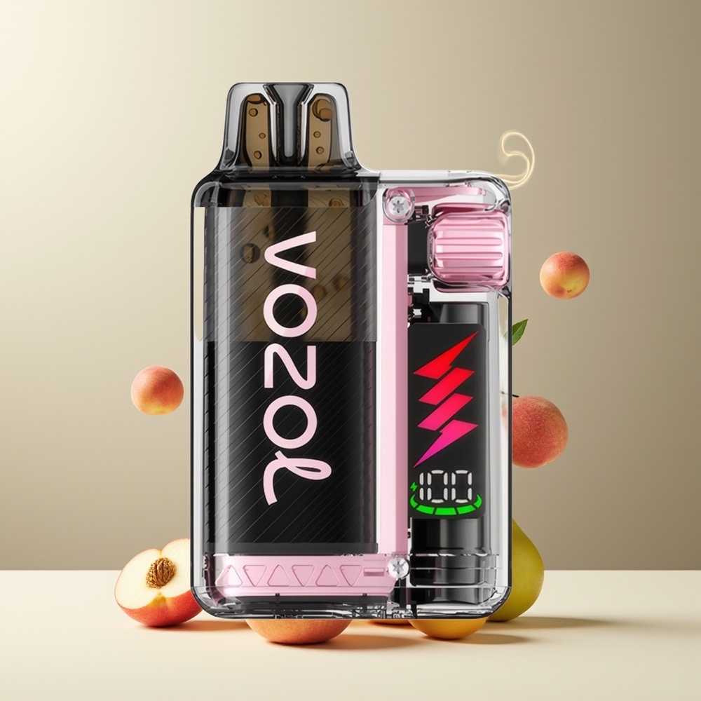 VOZOL VISTA PLUG 6000/10000 Engangs Vape grossister Sverige - 26 Läckra Smaker 4-Level Wattage Control Synlig E-Vätskebeholder