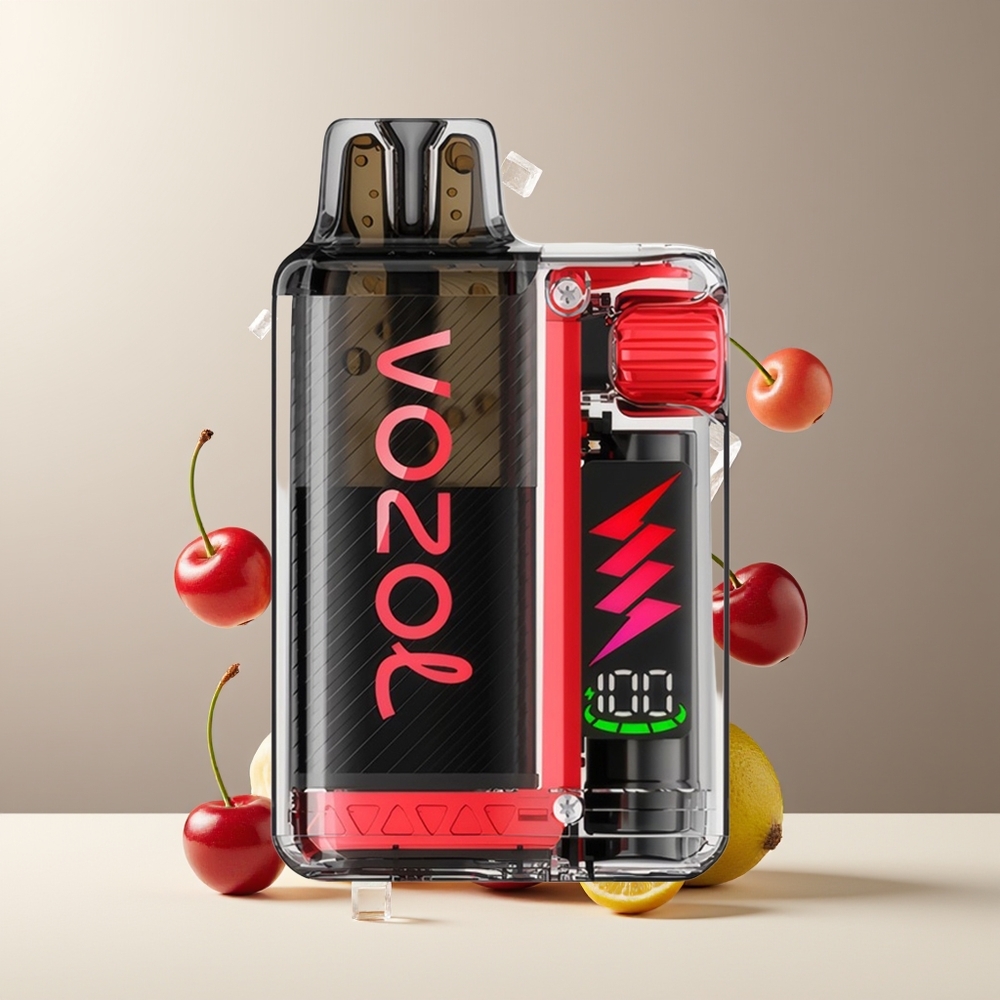 VOZOL VISTA PLUG 6000/10000 Engangs Vape grossister Sverige - 26 Läckra Smaker 4-Nivå Wattage Kontroll Synlig E-Vätska Behållare
