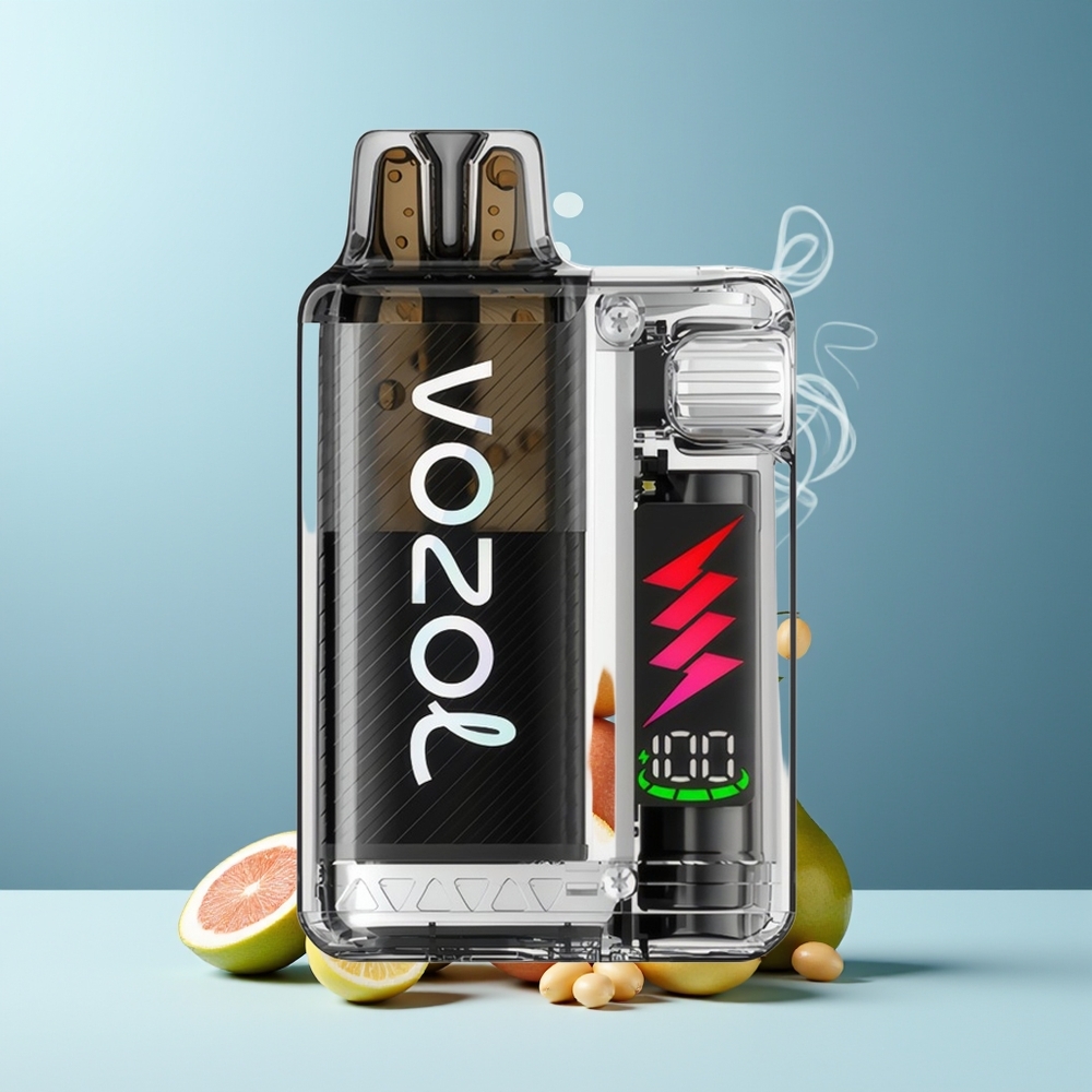 VOZOL VISTA PLUG 6000/10000 Engangs Vape grossister Sverige med 26 Läckra Smaker 4-Nivå Wattagekontroll och Synlig E-Vätskebeållare