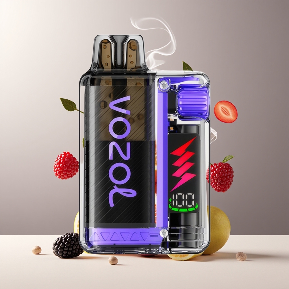 VOZOL VISTA PLUG 6000/10000 Engangs Vape med 26 Läcker Smaker 650mAh Batteri  6000-10000 Puffar – grossister Sverige
