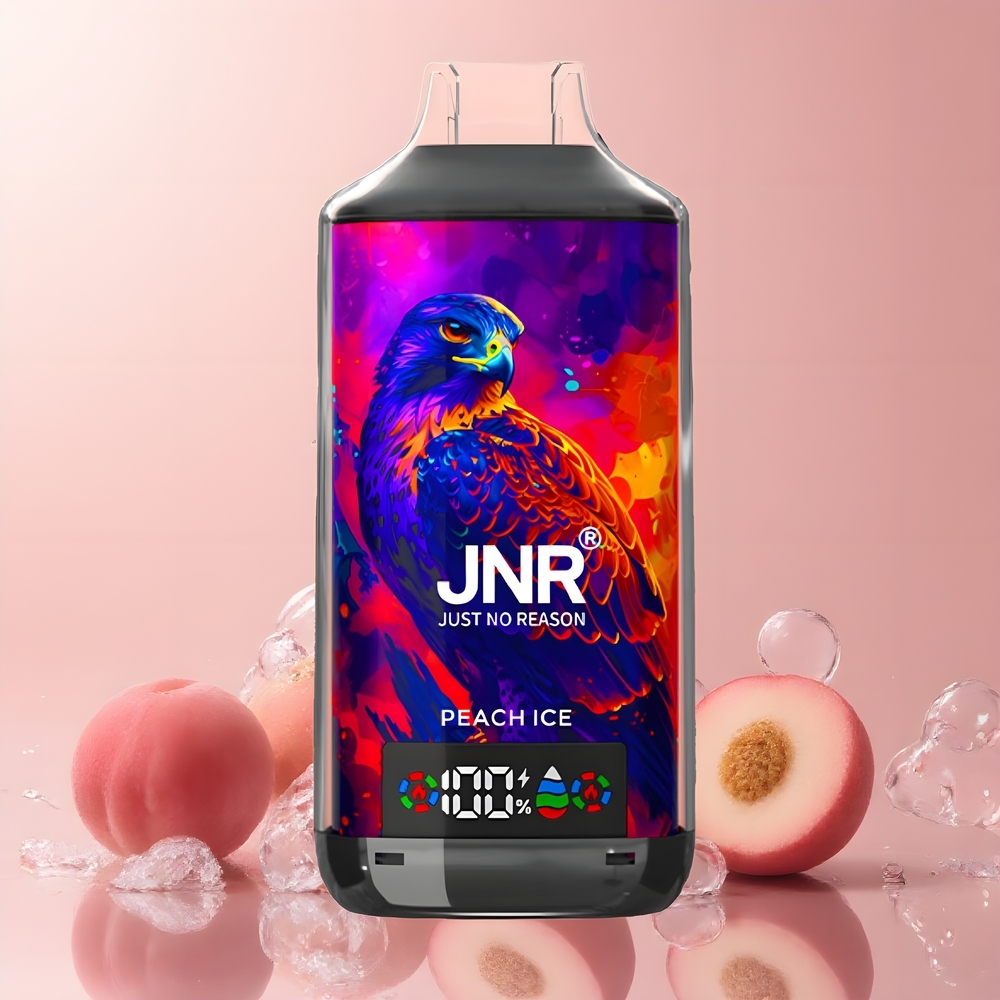 JNR Falcon X 18000 Puffs 24ml 750mAh Dual Mesh Coil Digital Display Type-C Quick Charge grossister Sverige