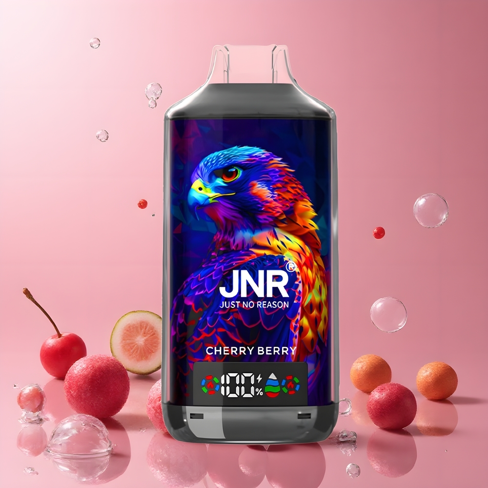 JNR Falcon X 18000 Puffs | 750mAh | 24ml | Dual Mesh Coil & Dual Core | grossister Sverige
