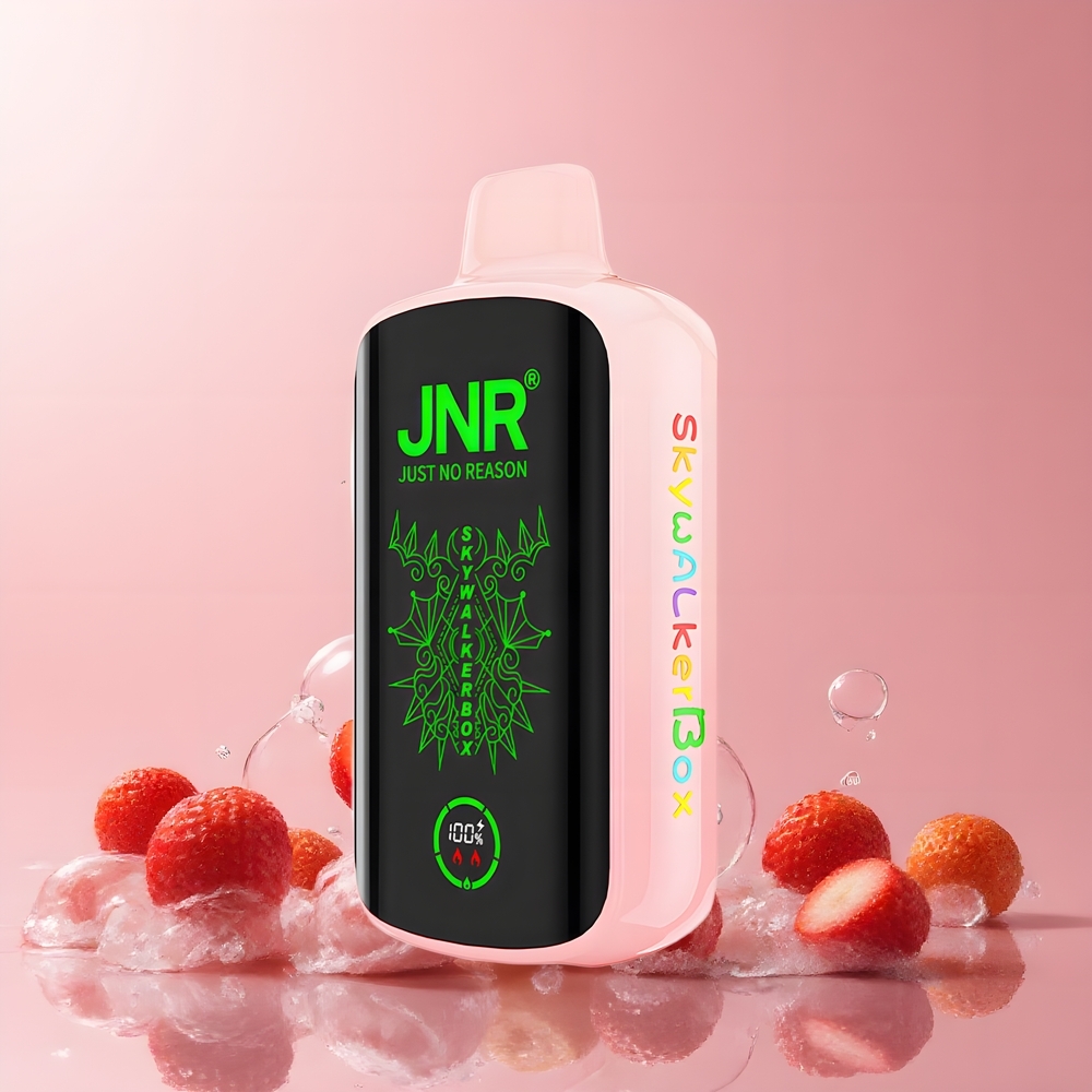 JNR Skywalker Box 21000 Puffs 850mAh 25ml Dual Mesh Coil Type-C grossister Sverige