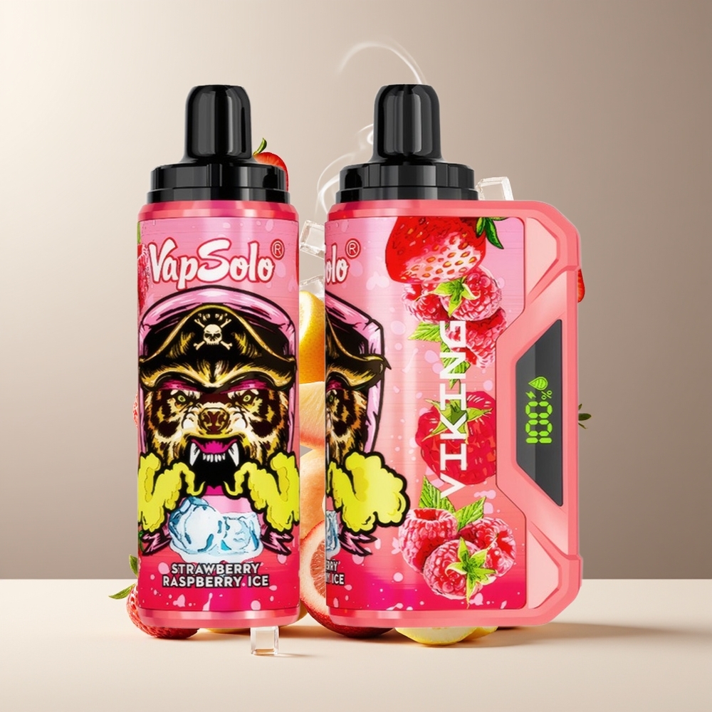 VapSolo VIKING 12000 Puffs 22ml 20/50 mg/ml Type-C Grossister Sverige